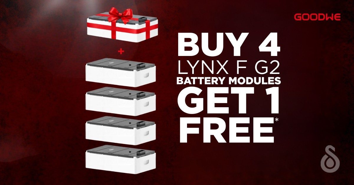 Buy4GoodWeLynxbatteriesT